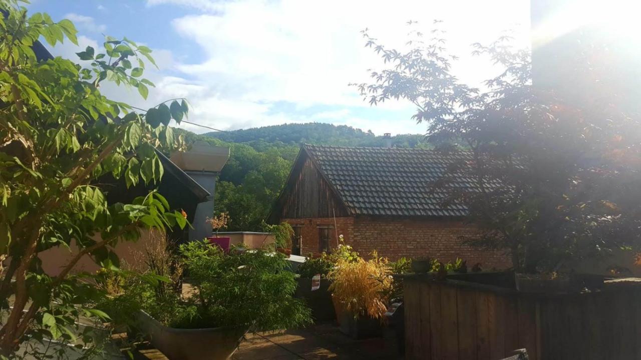 Spacieux Appartement Dans Le Centre De Munster Munster  Zewnętrze zdjęcie